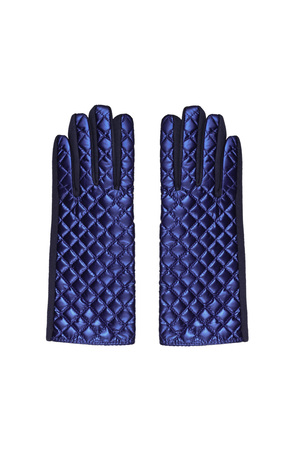 Handschoenen met gestikt patroon - blauw h5 