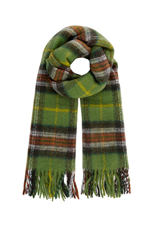 Winter scarf large checked print - green h5 
