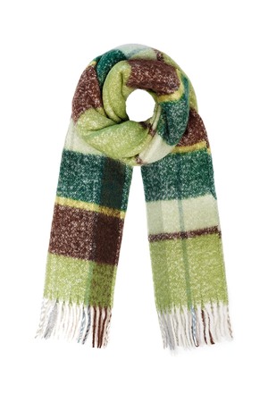 Sjaal gekleurde vlakken - groen h5 