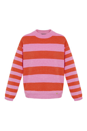 Gebreide gestreepte sweater - roze rood h5 