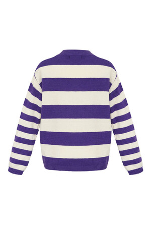 Pull rayé tricoté - violet blanc h5 Image8