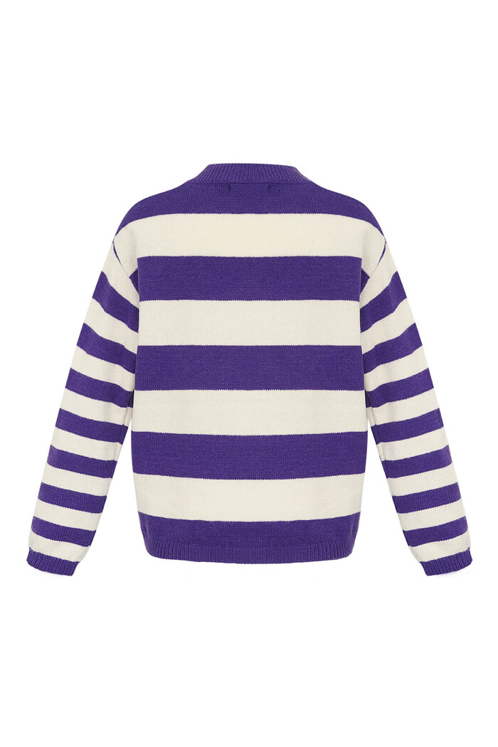 Gebreide gestreepte sweater - paars wit Afbeelding8