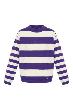Knitted striped sweater - purple white h5 