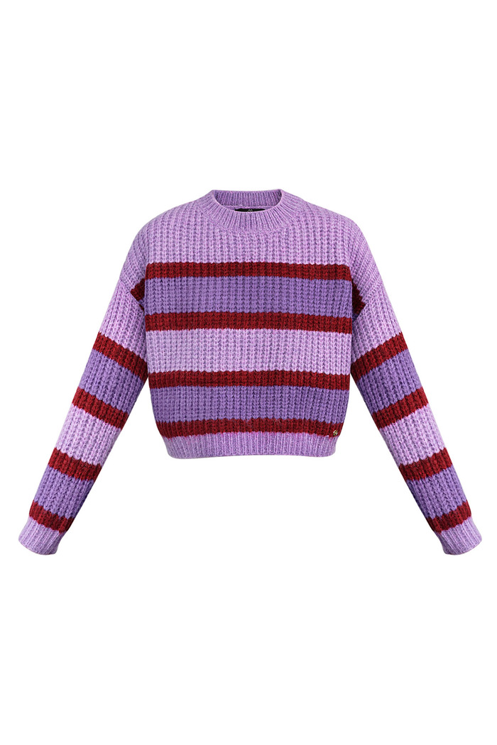 Knitted three-color sweater with stripe - purple 