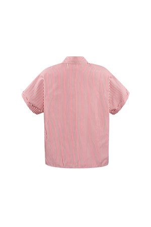 Striped blouse with short sleeves - red  h5 Picture7