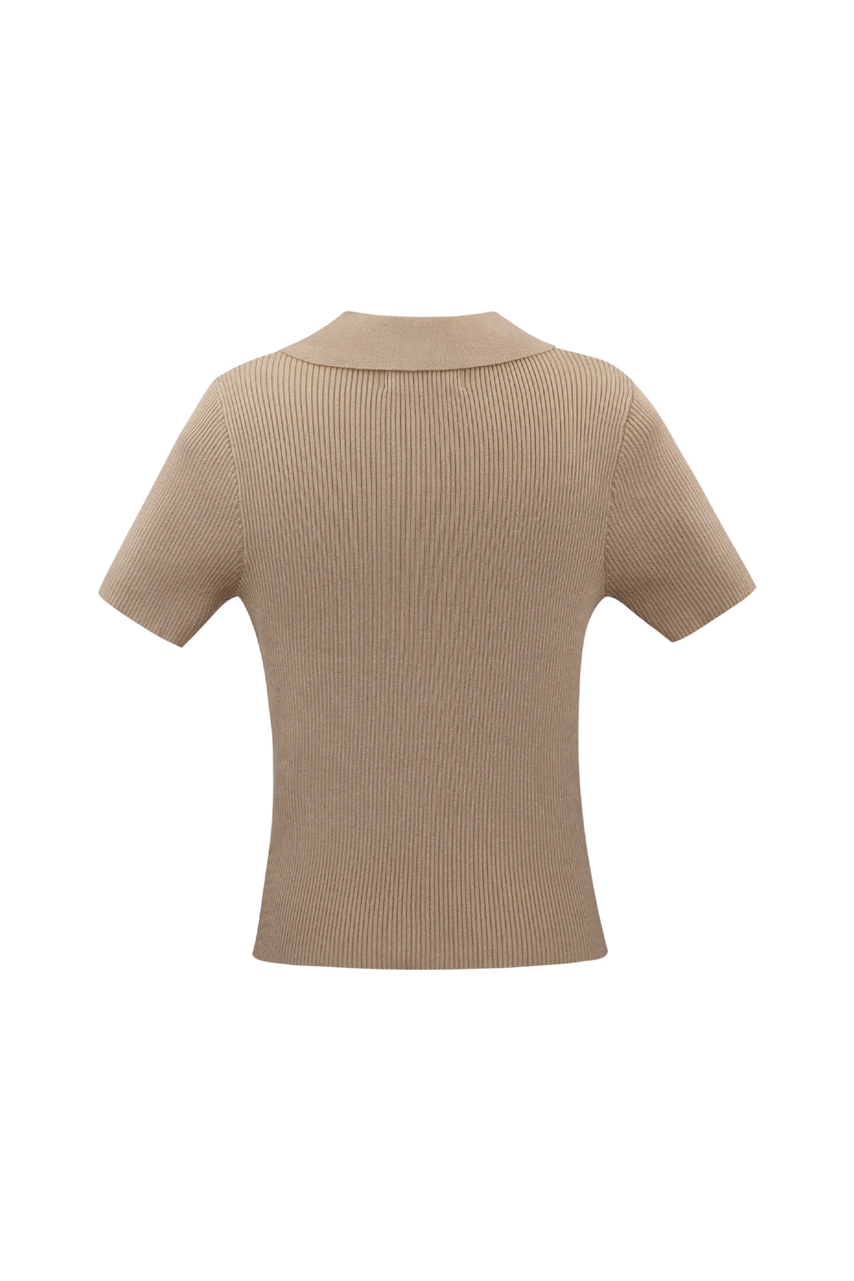 Basic-Poloshirt mit halber Knopfleiste, groß/extragroß – Beige Bild7