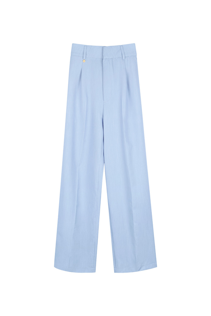 Trousers with pleats - blue  