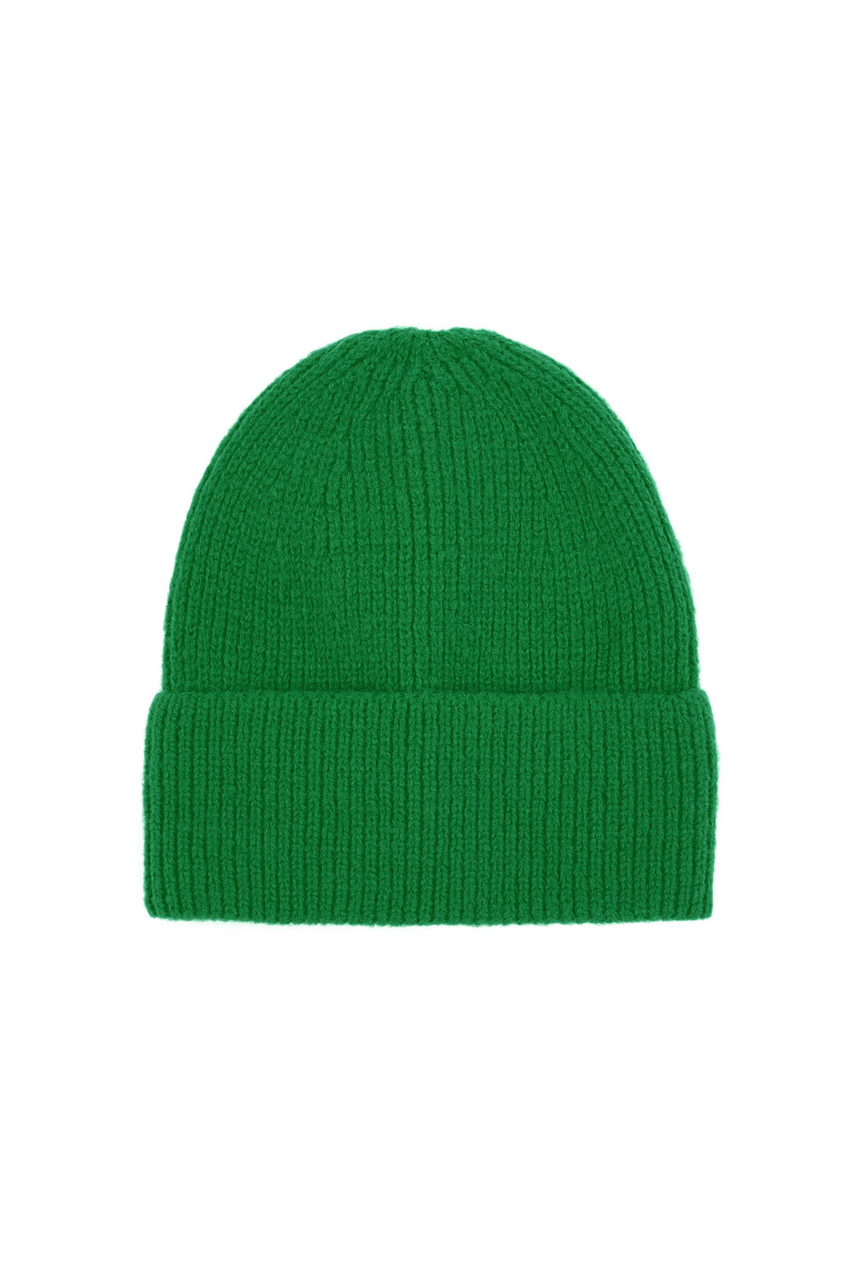 Everyday beanie - green