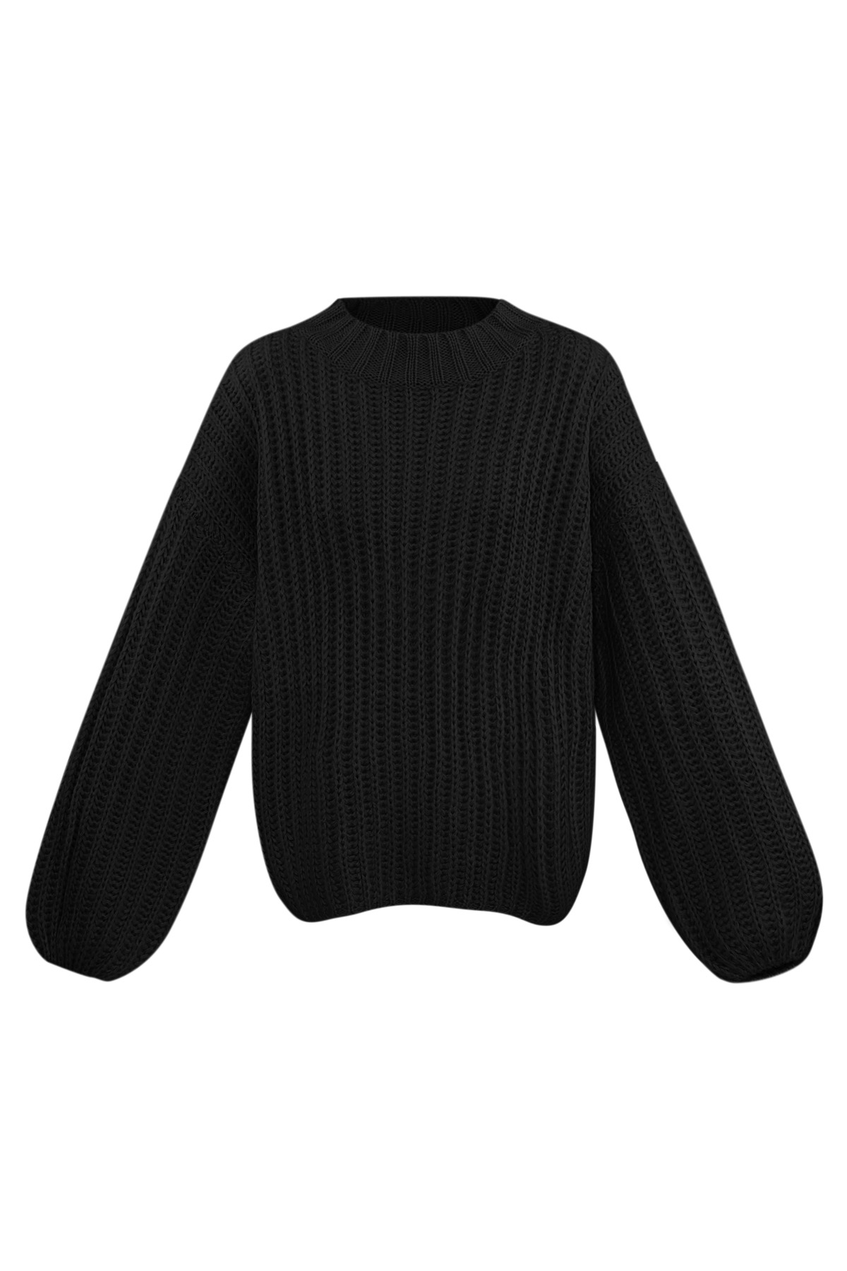 Maglione classico Everyday - nero h5 