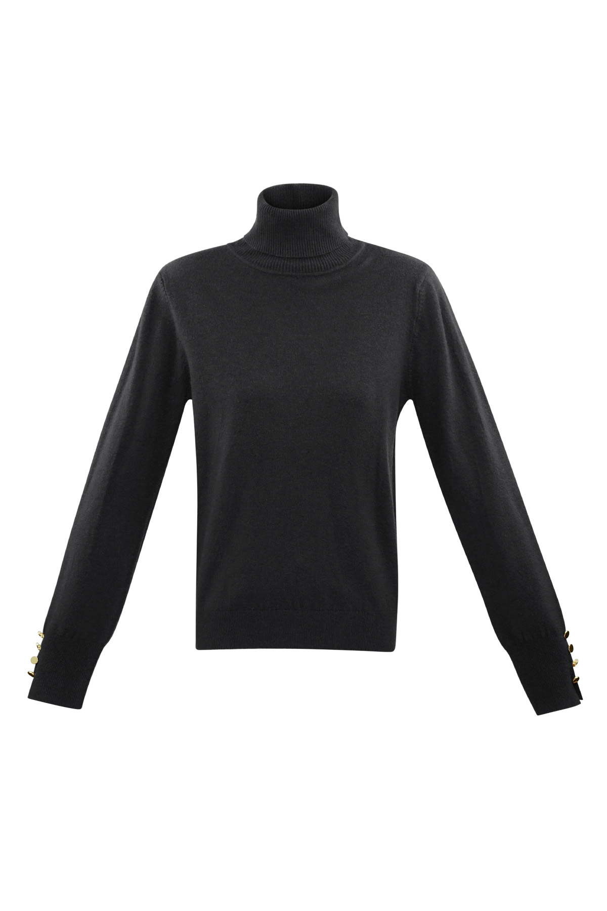 Tender Touch Rollkragenpullover - schwarz h5 