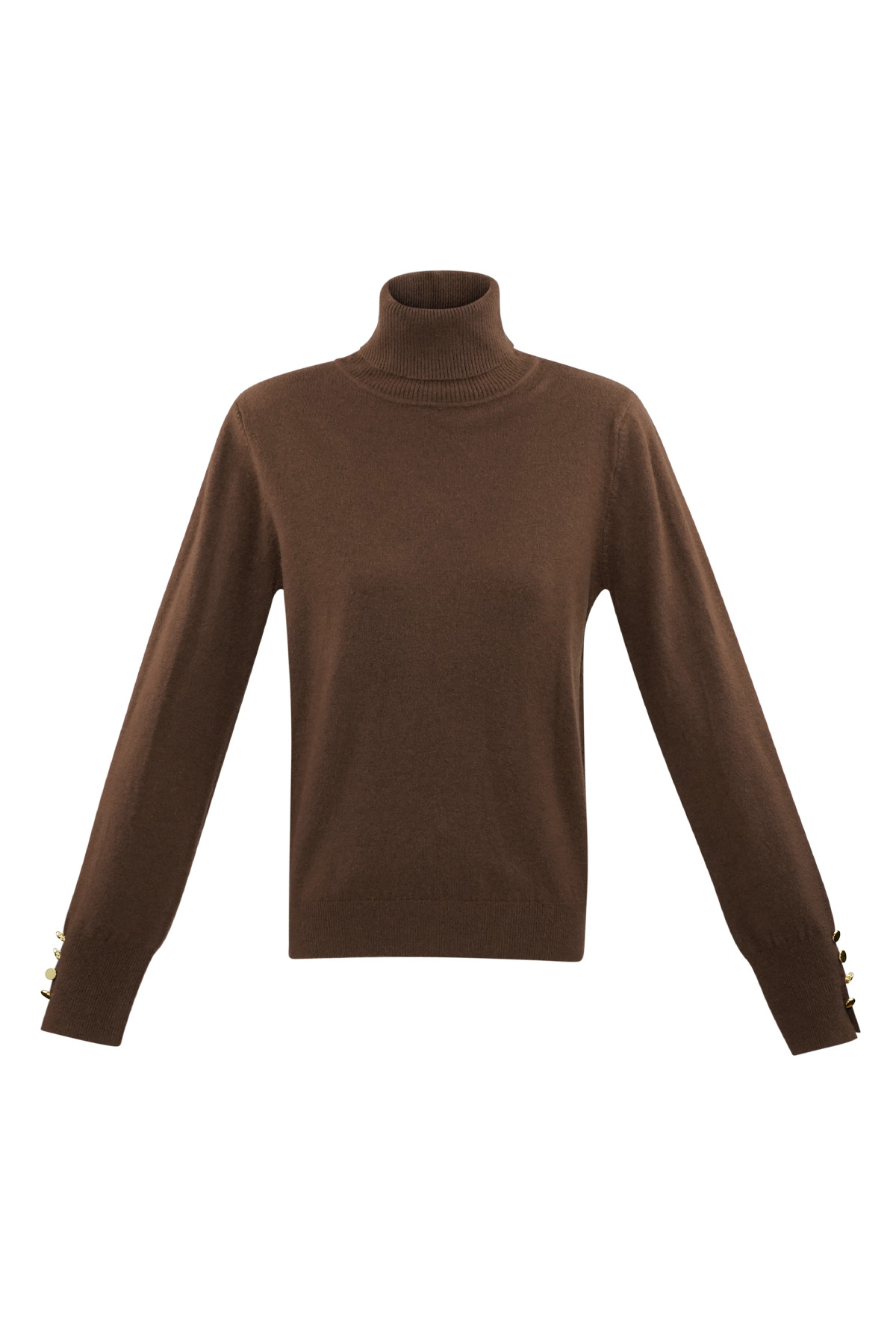 Tender Touch turtleneck - brown 