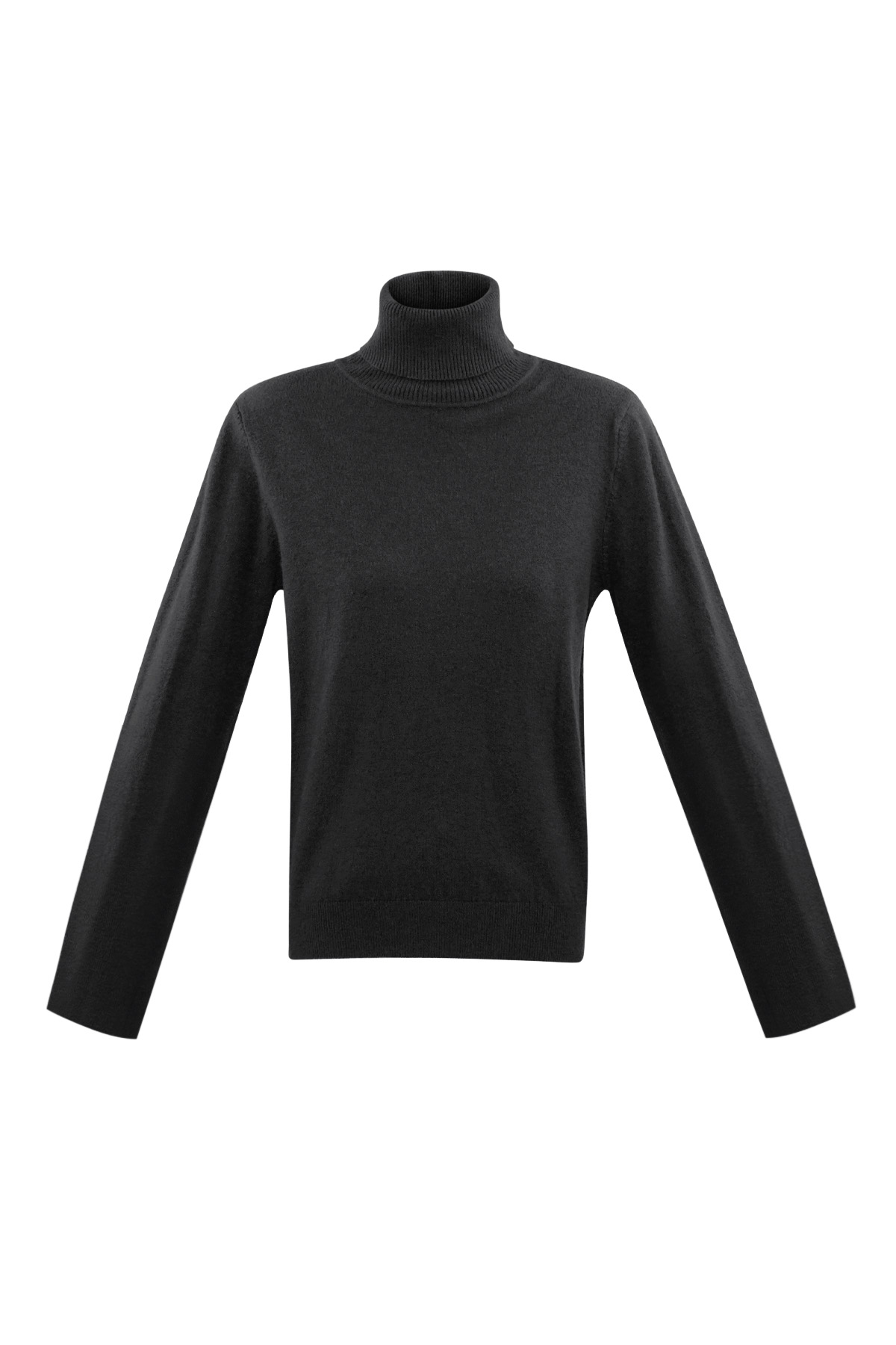 Rollkragenpullover Honeydew - Schwarz h5 