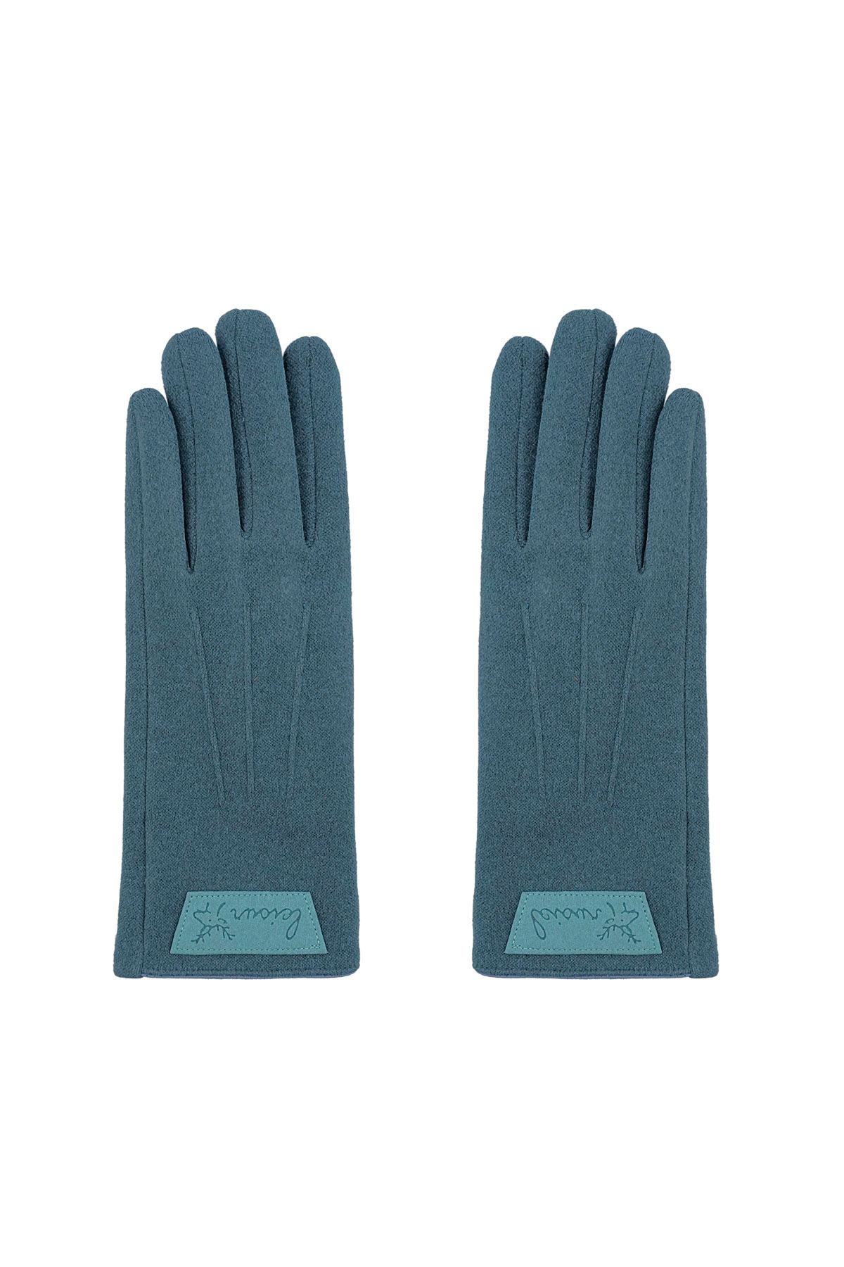 Timeless chic glove - blue h5 