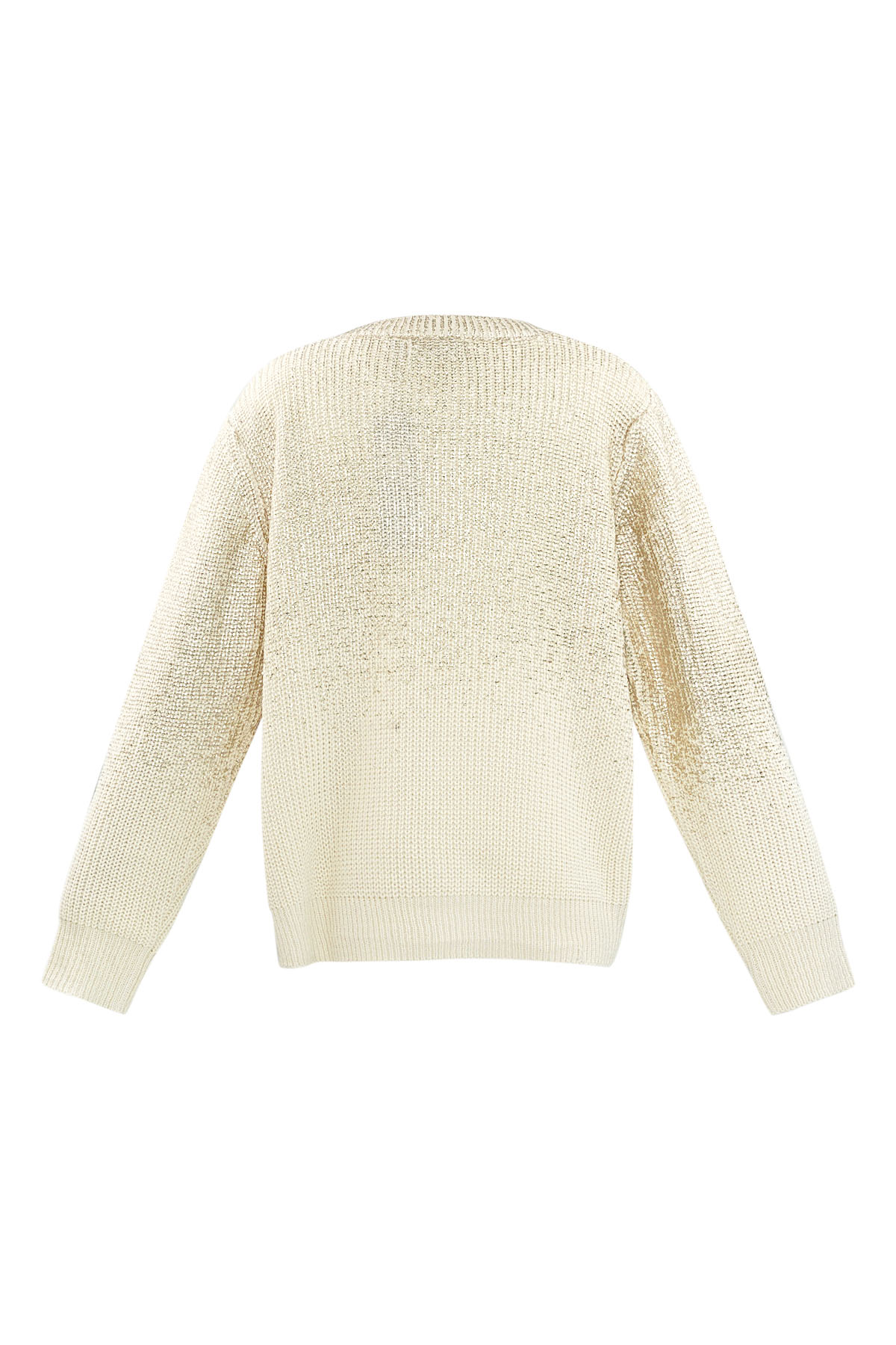 Glitz and Glow sweater - silver h5 Picture7