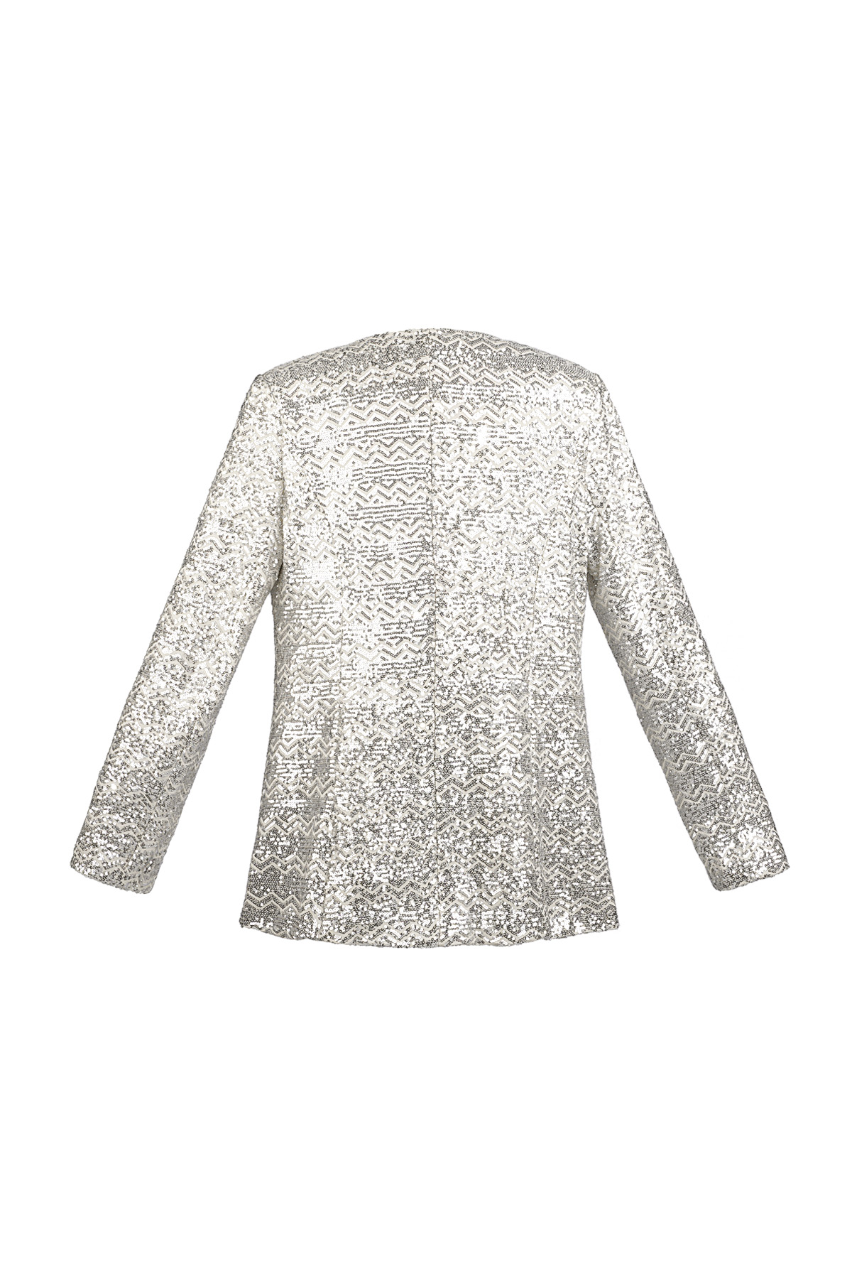 Glitter blazer - zilver h5 Afbeelding2