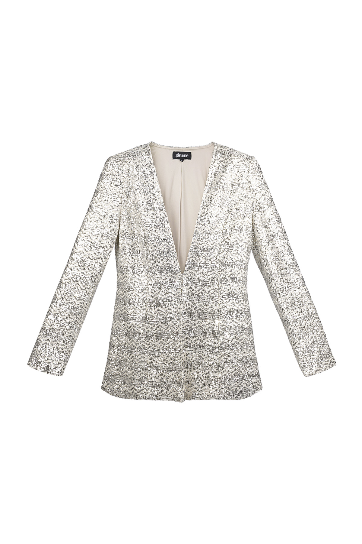 Glitter blazer - silver h5 