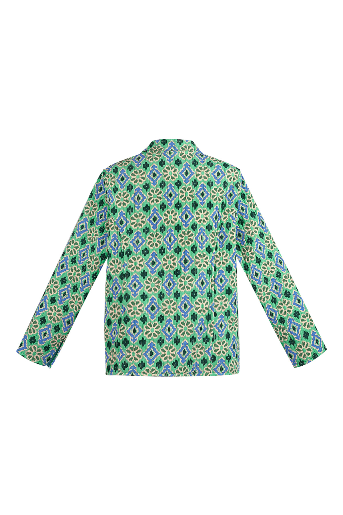 Veste imprimé vert - vert h5 Image2