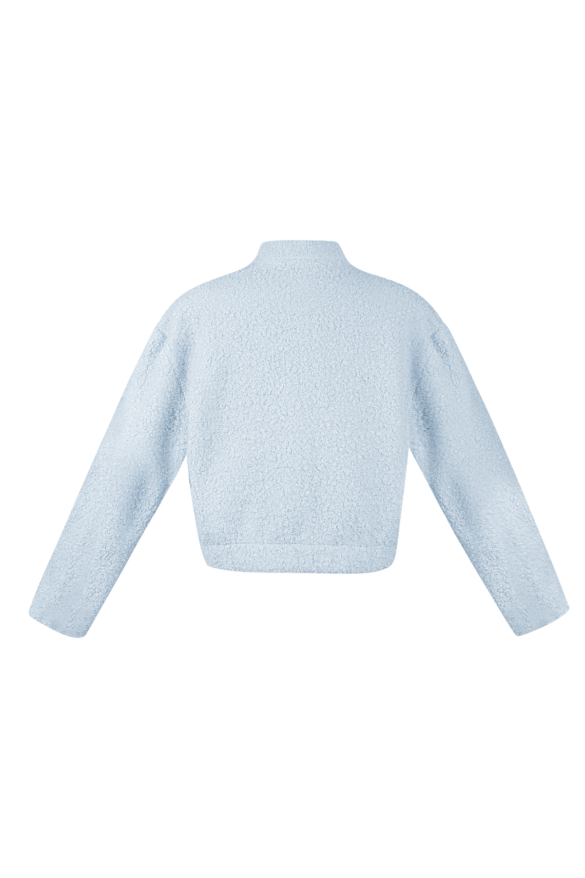 Boucle bomber jacket - Blue h5 Picture2