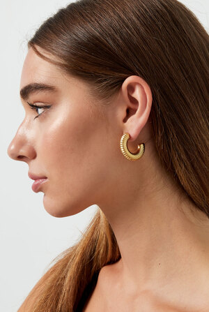 Striped earrings - gold h5 Picture2
