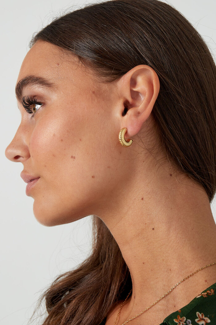 Boucles d'oreilles demi-lune relief - dorées Image4