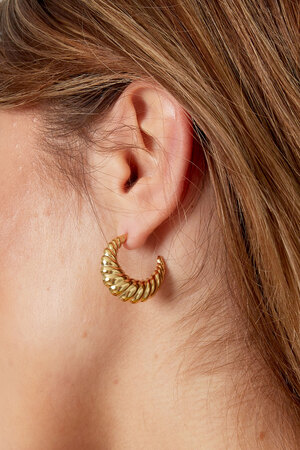 Earrings croissant - gold h5 Picture3