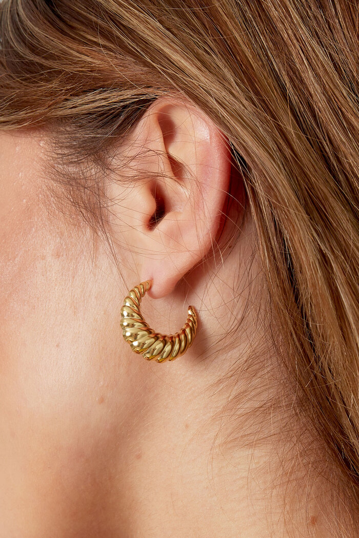 Earrings croissant - gold Picture3