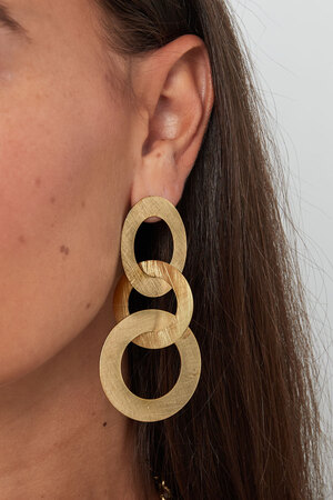 Boucles d'oreilles 3 cercles - Argenté Acier Inoxydable h5 Image3