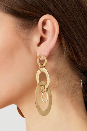 Circle party earrings - gold h5 Picture3