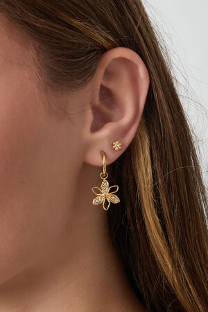 Earrings wild flower with stones - gold h5 Picture3