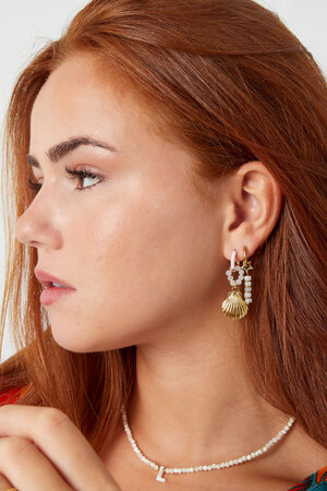 Ohrringe Muschel mit Perlenring - Gold h5 Bild4