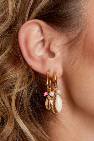 Ohrringe Muschel mit Perlen - Gold h5 Bild2
