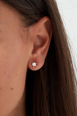 Clous d'oreilles pierre étoile - argent h5 Image3