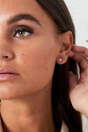 Ear studs star stone - silver h5 Picture2