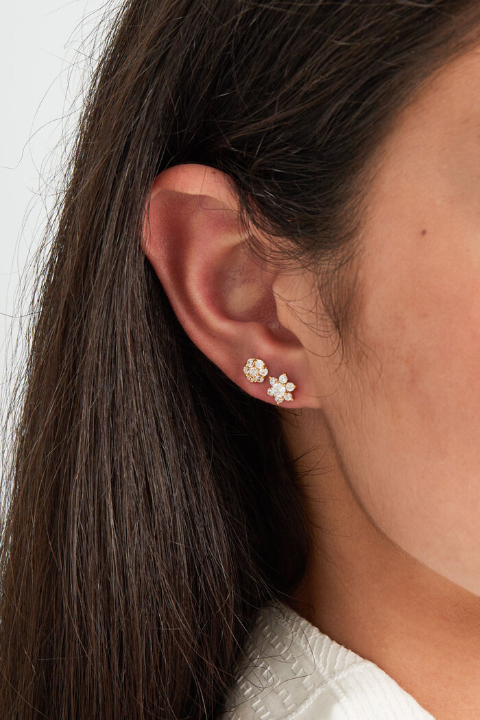 Ear studs round with stones - 925 silver Picture3