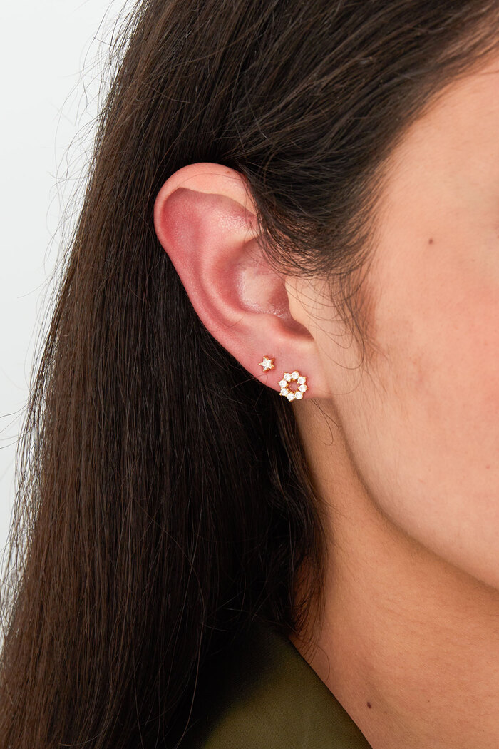 Flower stud earrings - 925 silver Picture3