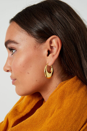 Boucles d'oreilles esthétiques élégantes - or h5 Image3