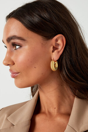 Earrings aesthetic round - gold h5 Picture3