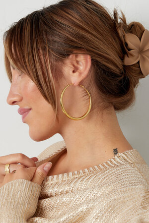 Boucles d'oreilles basiques avec variété - argent h5 Image4