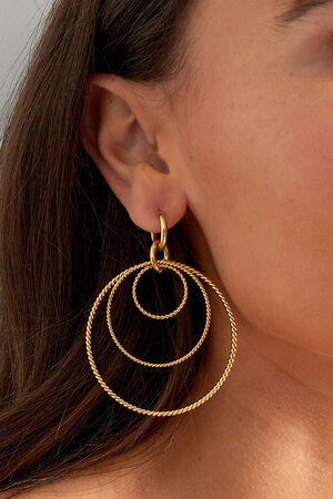 Earrings different rounds - gold h5 Picture3