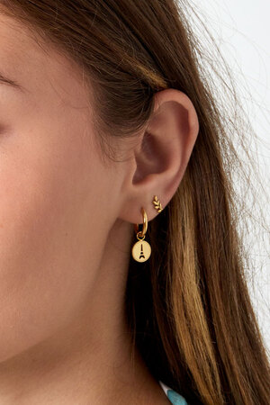 Eiffel Tower coin earrings - gold h5 Picture3