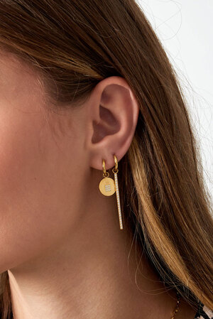 Boucles d'oreilles rangées de zircons - doré h5 Image3