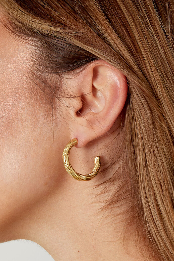 Boucles d'oreilles torsadées relief petit - doré Image3