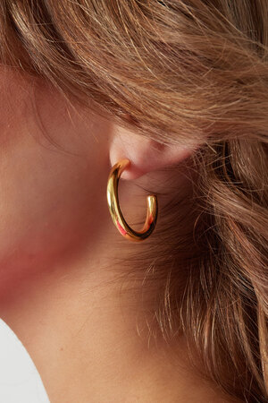 Boucles d'oreilles épaisses basic small - dorées h5 Image3