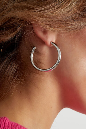 Boucles d'oreilles épaisses basiques - argent h5 Image4