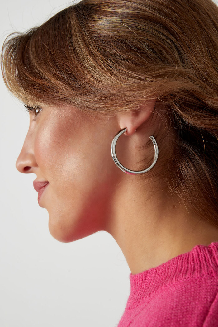 Boucles d'oreilles épaisses basiques - argent Image6