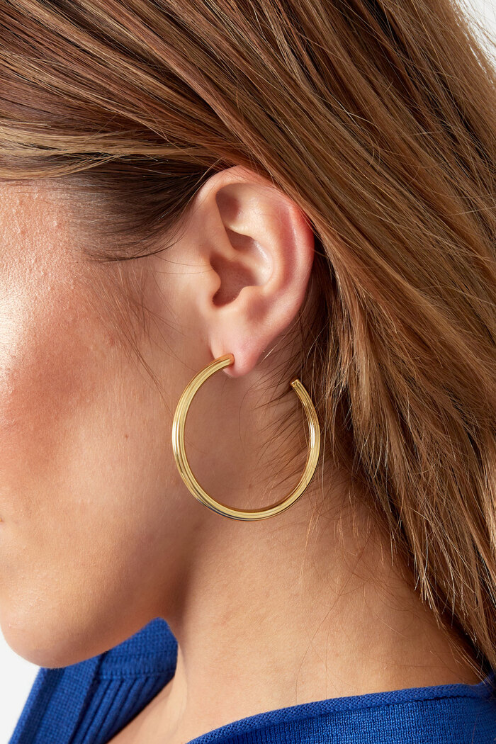 Boucles d'oreilles classiques grandes - argent Image3