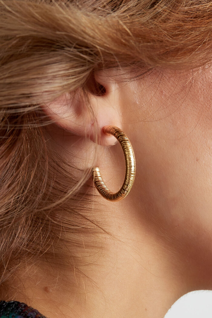 Boucles d'oreilles imprimé rayé - doré Image3