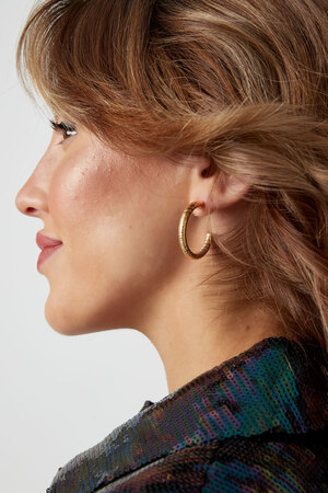 Earrings striped print - gold h5 Picture4