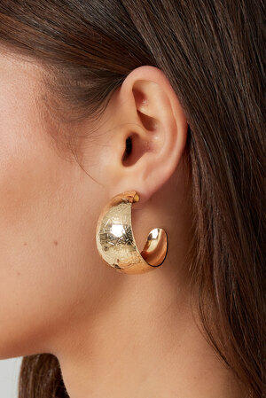 Earrings crescent moon with structure - gold h5 Picture3