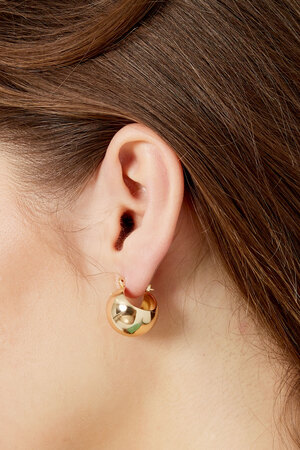 Boucles d'oreilles forme ronde - argent h5 Image3